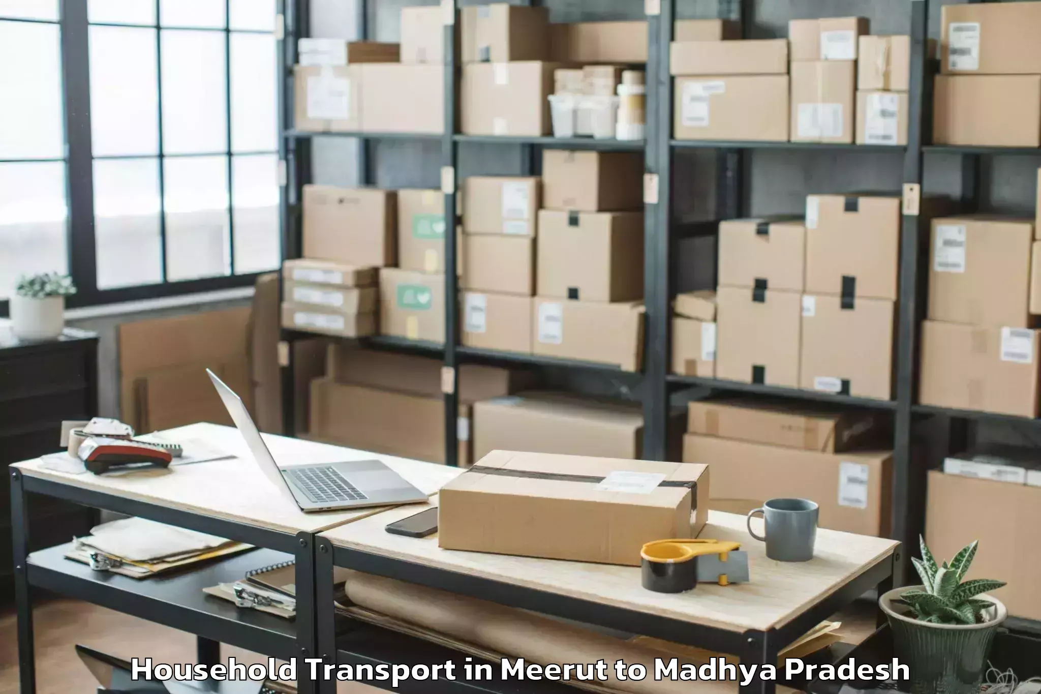 Meerut to Indore Airport Idr Household Transport Booking